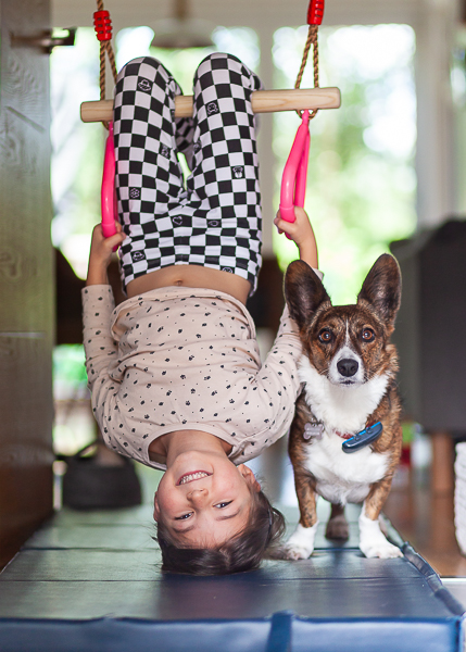 Child hanging upside down indoors beside a corgi during a relaxed family photography session in Hampshire